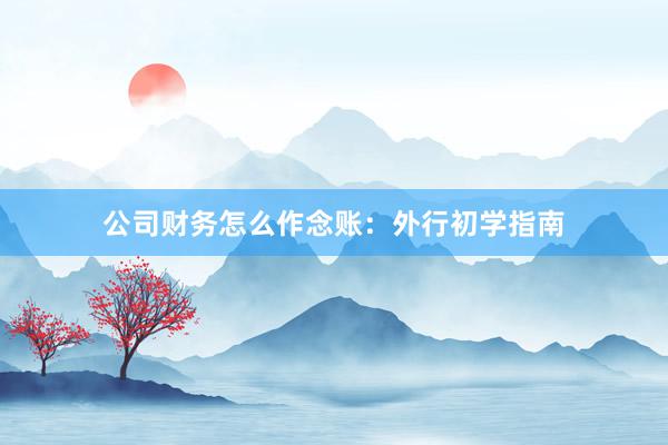 公司财务怎么作念账：外行初学指南
